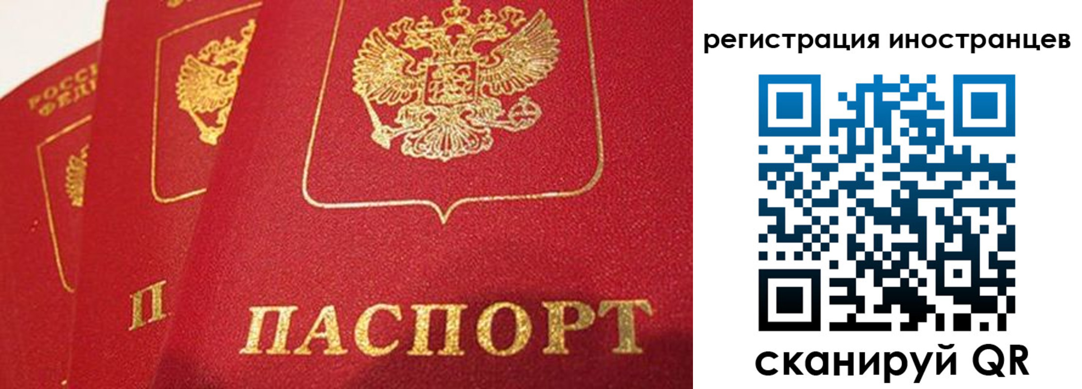 временная прописка в Новотроицке
